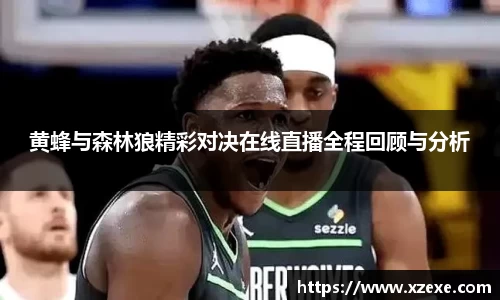 黄蜂与森林狼精彩对决在线直播全程回顾与分析